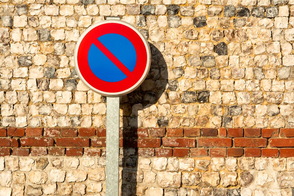 A rectangular traffic sign with a white background and red border, displaying the message 'No Parking Any Time' in bold red letters, mounted on a metal pole situated on a grassy verge. The sign featur